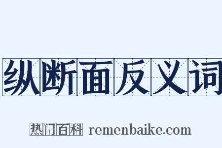 纵断面反义词是什么意思的图片